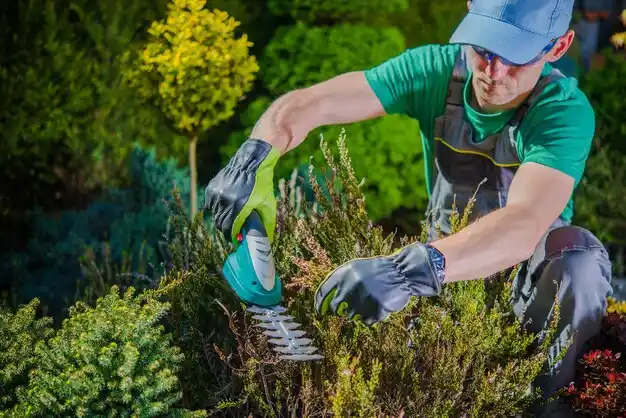 landscaping services Haughton